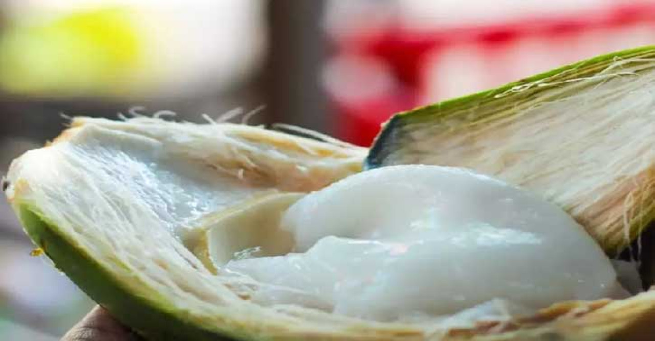 ডাবের শাঁস ব্যবহারেই পাবেন উজ্জ্বল ত্বক!