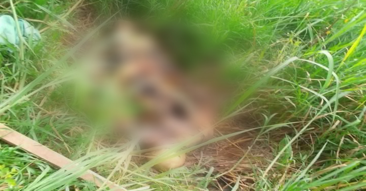 নোয়াখালীতে অজ্ঞাত মহিলার কঙ্কাল উদ্ধার