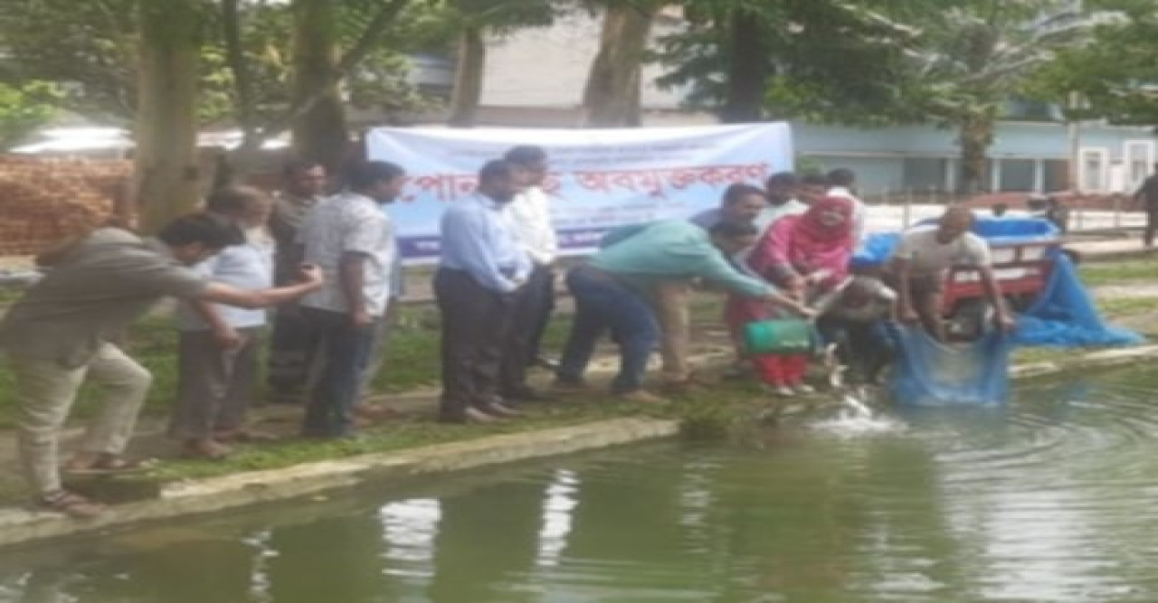 ধামইরহাট মাছের পোনা অবমুক্ত