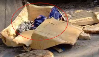 নোয়াখালীতে ওষুধের কার্টনে মিলল নবজাতকের মরদেহ