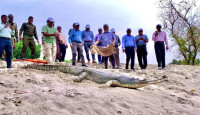 রাজশাহীতে দেশের প্রথম ঘড়িয়াল প্রজনন কেন্দ্র