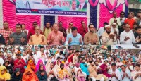 শার্শায় ঐতিহাসিক ৭ নভেম্বর মহান জাতীয় বিপ্লব সংহতি দিবস পালিত