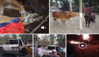 রাস্তা ভুলে আটকে গেল চোরের দল,পিকআপভ্যান পোড়ালো এলাকাবাসী